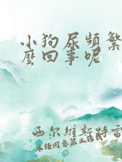 小狗尿频繁是怎么回事呢