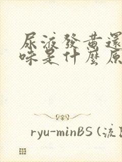 尿液发黄还有骚味是什么原因