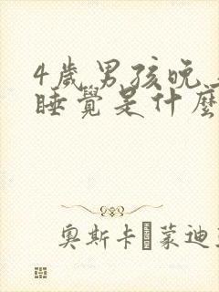 4岁男孩晚上不睡觉是什么原因