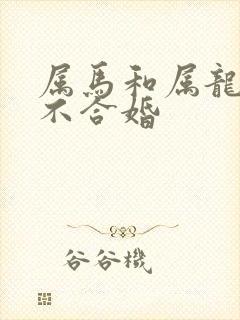 属马和属龙的合不合婚