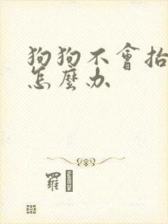 狗狗不会抬腿尿怎么办