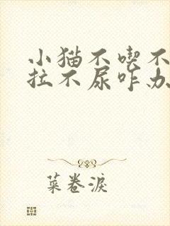 小猫不吃不喝不拉不尿咋办