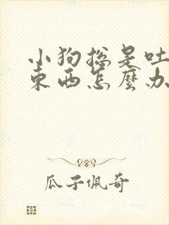 小狗总是吐不吃东西怎么办?