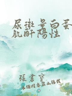 尿微量白蛋白/肌酐阳性