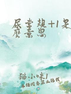 尿常规+1是什么意思