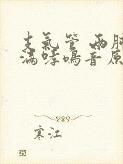 支气管 两肺布满哮鸣音原因