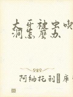 大牙被虫吃了个洞怎么办