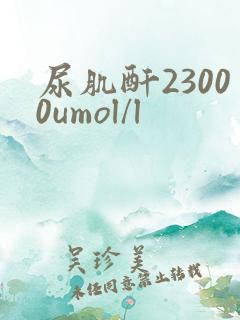 尿肌酐23000umol/l