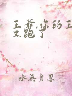 王爷,你的王妃又跑了