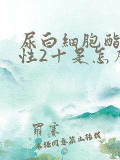 尿白细胞酯酶阳性2十是怎么回事