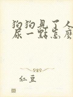 狗狗见了人就会尿一点怎么回事