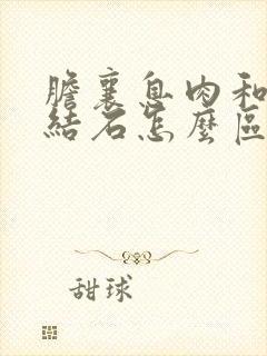 胆襄息肉和胆囊结石怎么区别