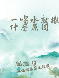 一喝水就撒尿是什么原因