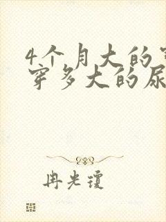 4个月大的宝宝穿多大的尿不湿