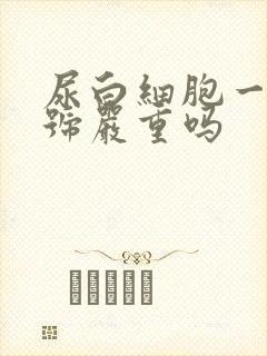 尿白细胞一个加号严重吗