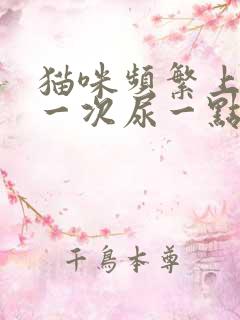 猫咪频繁上厕所一次尿一点咋回事