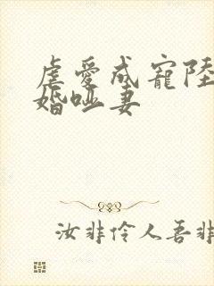 虐爱成宠陆总新婚哑妻