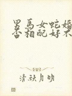 男马女蛇婚姻是否相配好不好