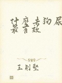 什么去狗尿骚味最有效