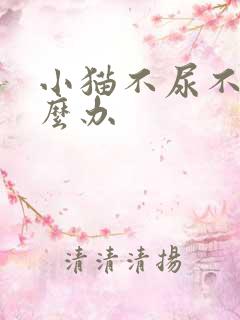 小猫不尿不拉怎么办