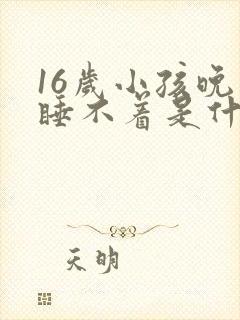 16岁小孩晚上睡不着是什么原因