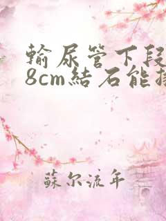 输尿管下段0.8cm结石能排出吗