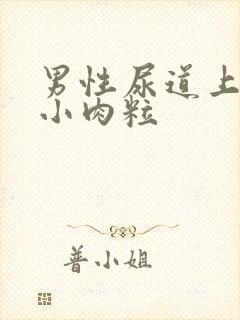 男性尿道上好多小肉粒