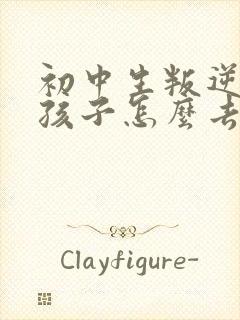 初中生叛逆期的孩子怎么去引导