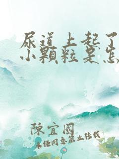 尿道上起了一个小颗粒是怎么回事