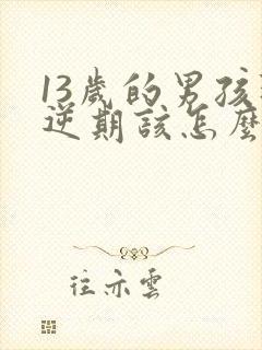 13岁的男孩叛逆期该怎么办