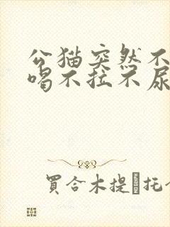 公猫突然不吃不喝不拉不尿