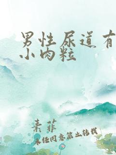 男性尿道有两个小肉粒