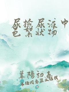 尿检尿液中有白色絮状物