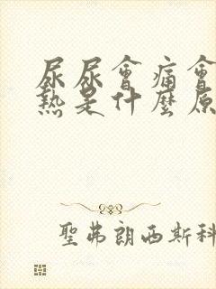 尿尿会痛会尿灼热是什么原因