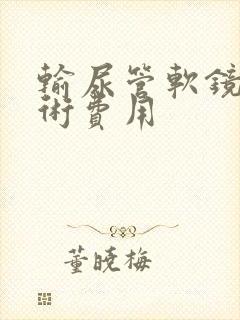 输尿管软镜碎石术费用