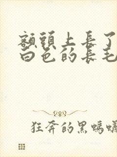 额头上长了一根白色的长毛