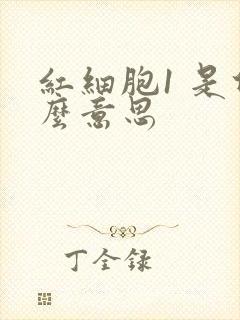 红细胞1 是什么意思