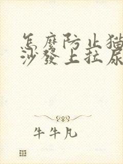 怎么防止猫咪在沙发上拉尿