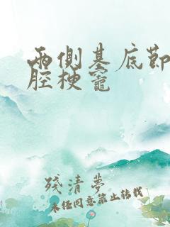 两侧基底节区脑腔梗灶