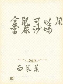 仓鼠可以用猫砂当尿沙吗