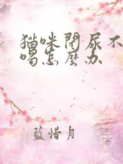 猫咪闭尿不吃不喝怎么办