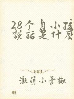 28个月小孩不说话是什么原因呢