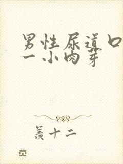 男性尿道口长了一小肉芽