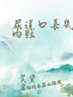 尿道口长几个小肉粒