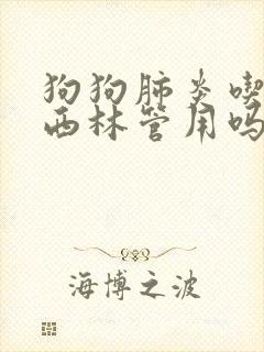 狗狗肺炎吃阿莫西林管用吗