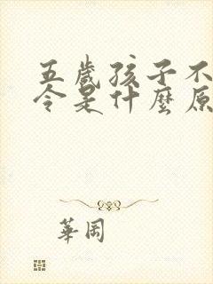 五岁孩子不听指令是什么原因