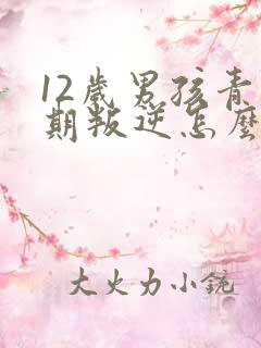 12岁男孩青春期叛逆怎么办