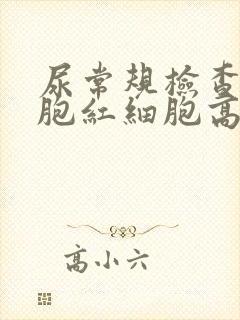 尿常规检查白细胞红细胞高怎么回事