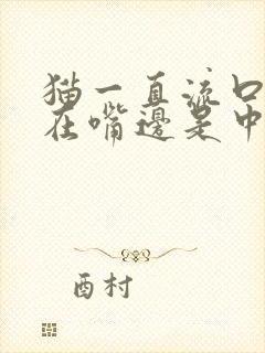 猫一直流口水吊在嘴边是中毒了吗