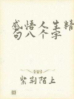 感悟人生精辟短句八个字